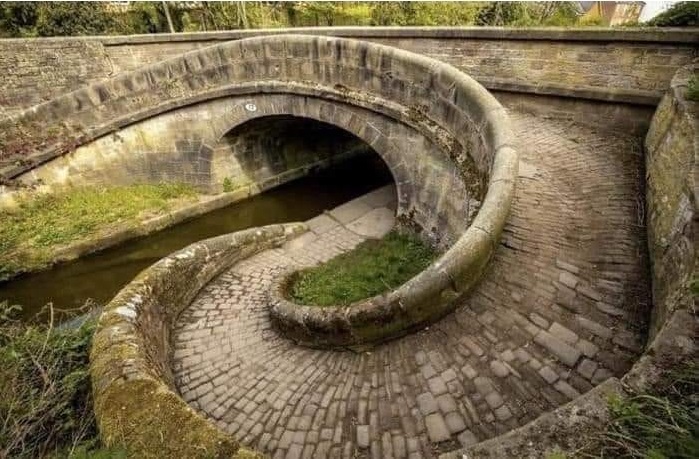 snake_bridge.jpg